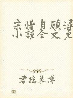 宋惜月顾浔渊的小说全文免费阅读