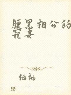 腹黑相公的庶女宠妻