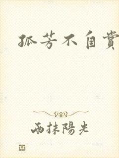 孤芳不自赏小说