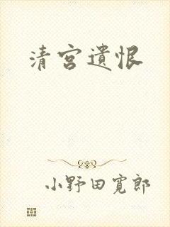 清宫遗恨封面