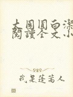 大团圆白洁免费阅读全文小说