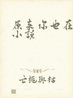 原来你也在这里小说