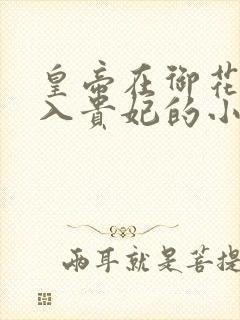 皇帝在御花园进入贵妃的小说封面