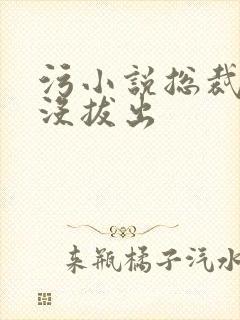 污小说总裁整夜没拔出