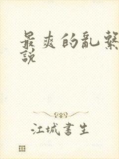 最爽的乱系列小说