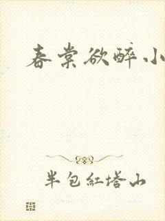 春棠欲醉小说