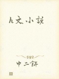 h文小说