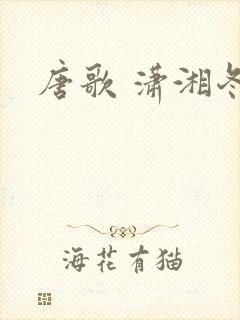 唐歌 潇湘冬儿封面
