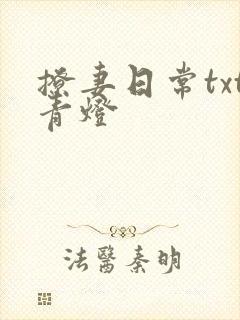 撩妻日常txt青灯
