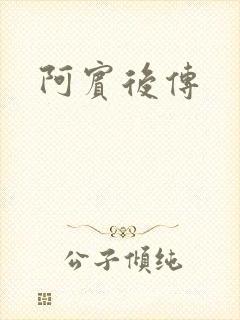 阿宾后传