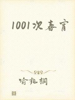 1001次春宵封面