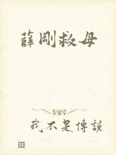 薛刚救母