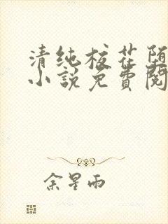 清纯校花堕落记小说免费阅读封面