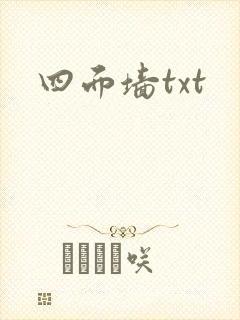 四面墙txt