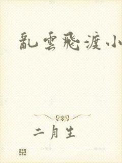 乱云飞渡小说