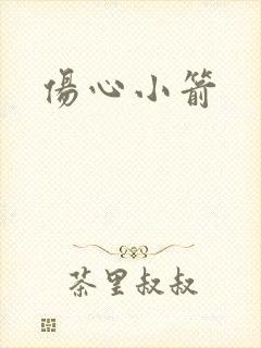 伤心小箭封面