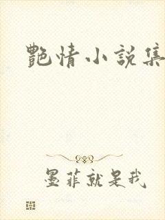 艳情小说集封面