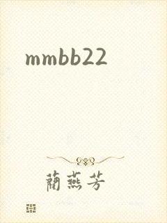 mmbb22封面