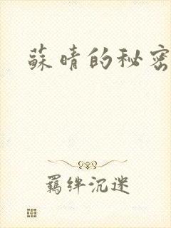 苏晴的秘密小说