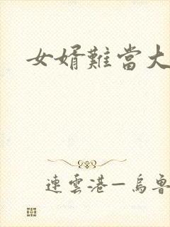 女婿难当大结局