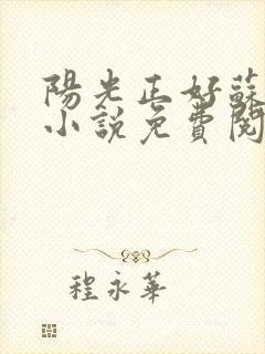 阳光正好苏玥玥小说免费阅读无弹窗封面