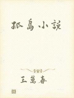 孤岛小说