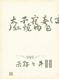 太子宠妾(高肉)红烧肉包