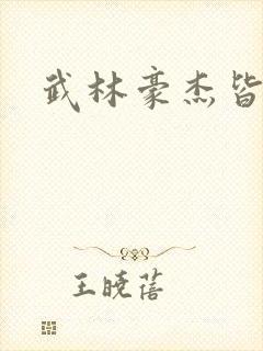 武林豪杰皆我奴封面
