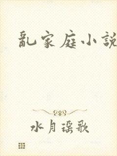乱家庭小说封面