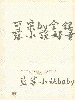 可宋by金银花露小说好看吗