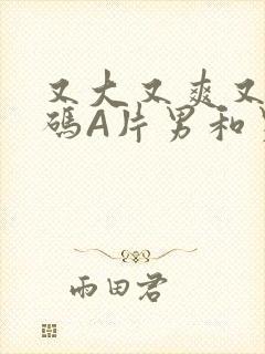 又大又爽又黄无码A片男和男