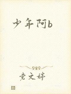 少年阿b封面