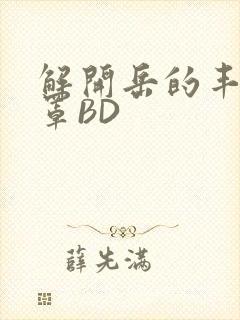 解开岳的丰满奶罩BD封面