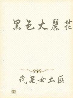 黑色大丽花图片