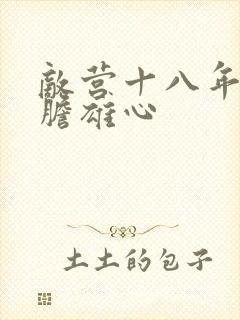 敌营十八年2虎胆雄心