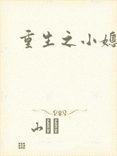 重生之小媳妇