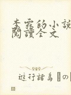 李霖的小说免费阅读全文