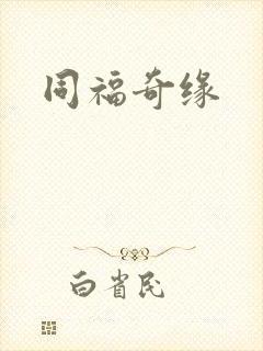 同福奇缘封面
