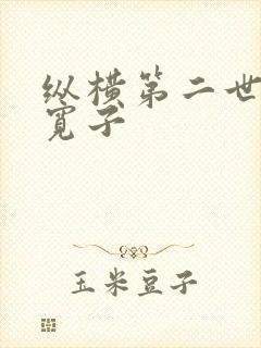 纵横第二世界 宽子