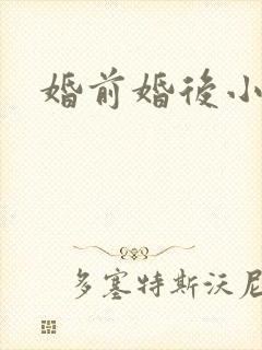 婚前婚后小说封面