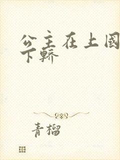 公主在上国师请下轿