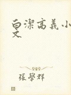 白洁高义小说全文