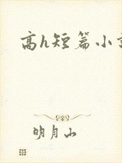 高h短篇小说