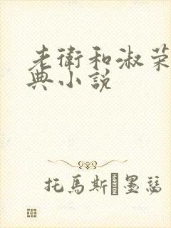老卫和淑荣的经典小说