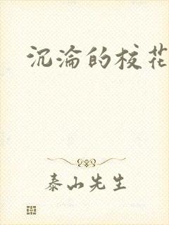 沉沦的校花封面