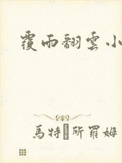 覆雨翻云小说