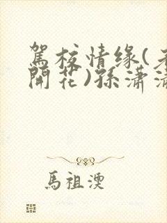 驾校情缘(老树开花)孙潇潇笔趣阁