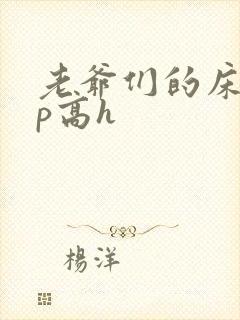 老爷们的床奴np高h