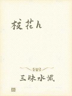 校花h封面