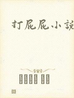 打屁屁小说封面
